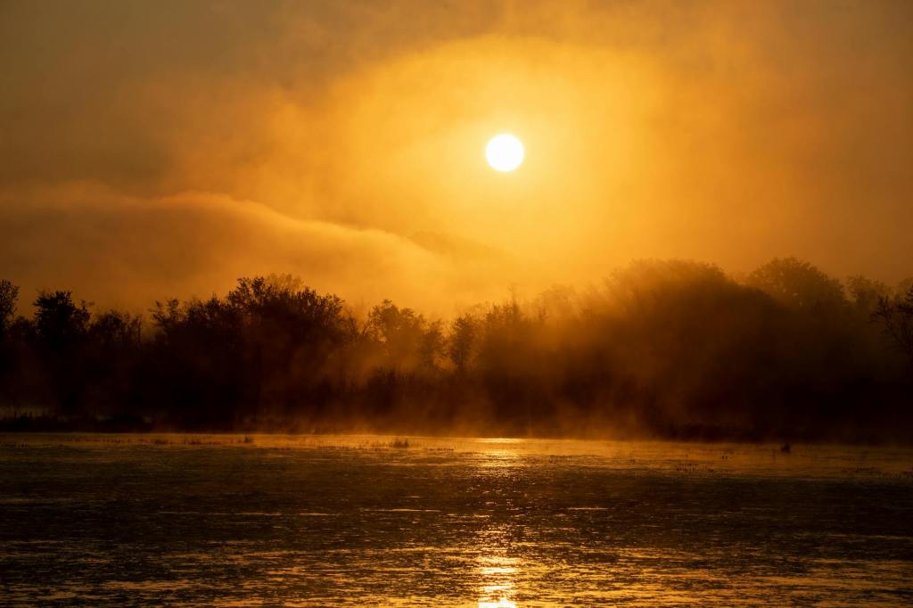 Tell Them: Letting People Know They Matter